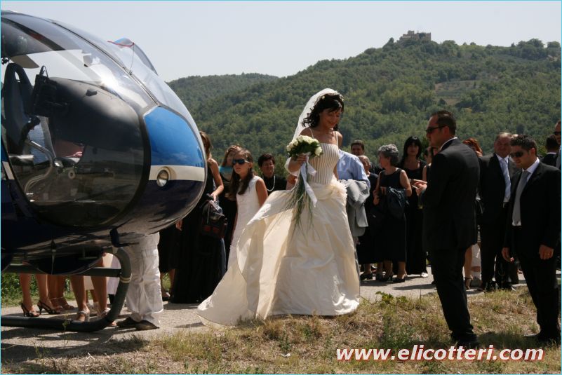 elifoto (218)